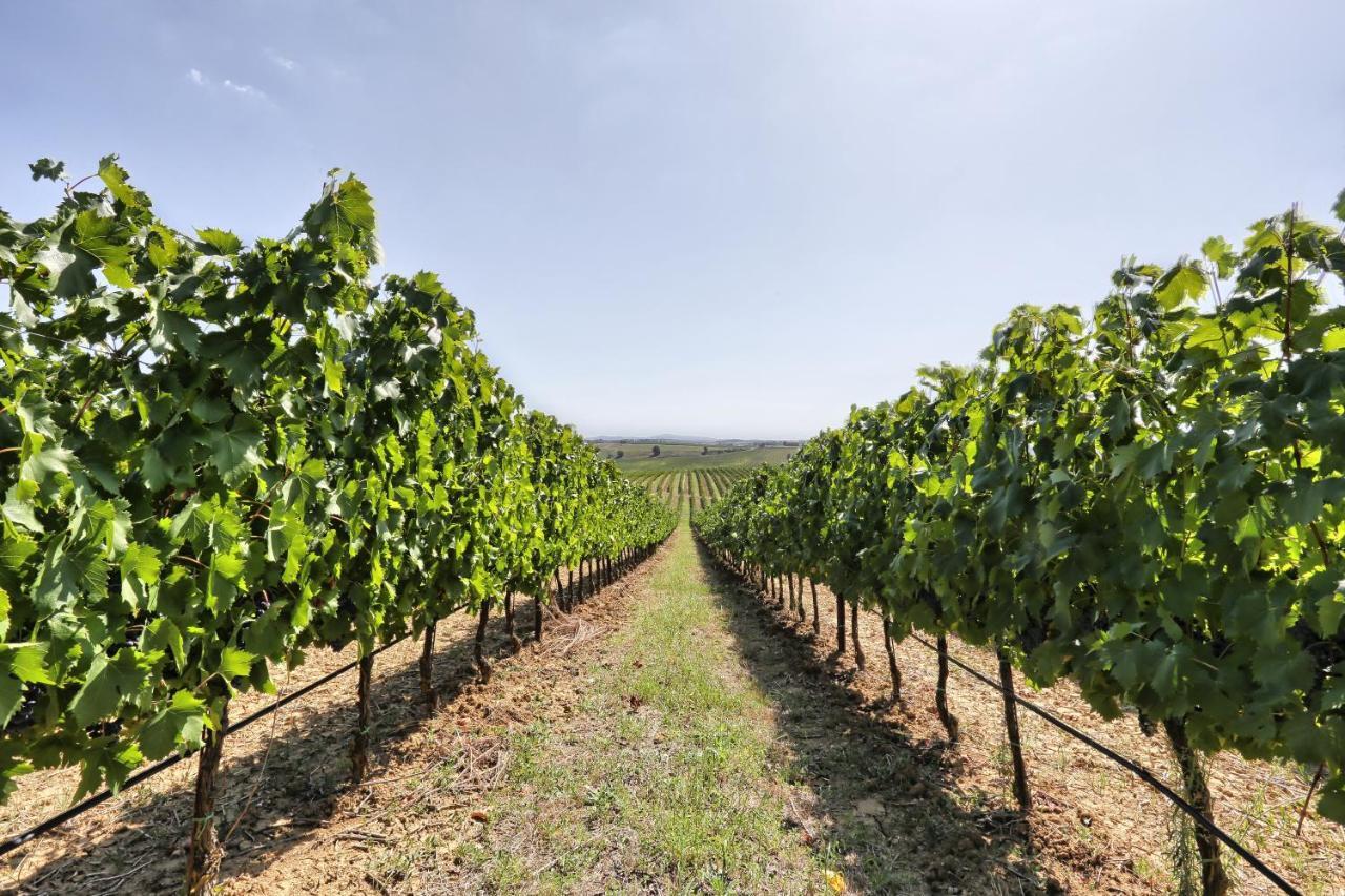 Agriturismo Terra Rossa Valiano Εξωτερικό φωτογραφία